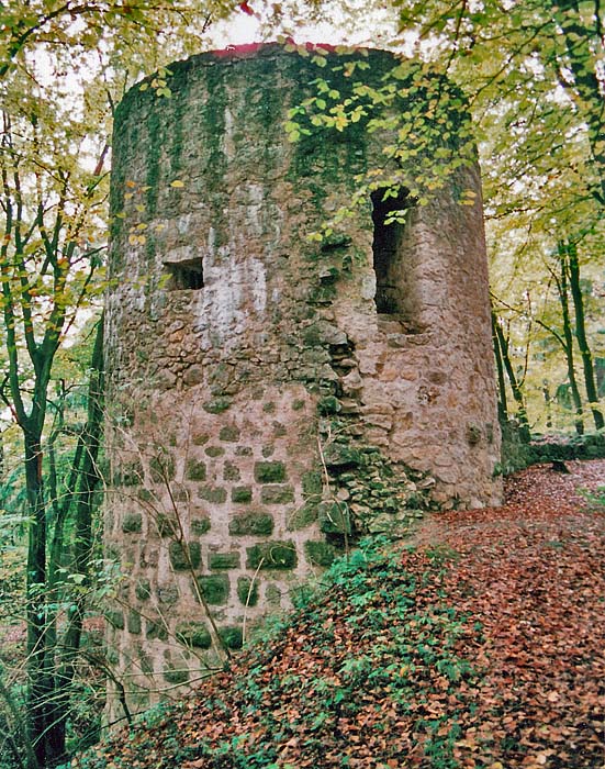 S&uuml;dlicher Mauerturm von Osten