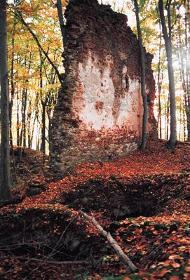 Mauer- und Gewölbereste des Südgebäudes