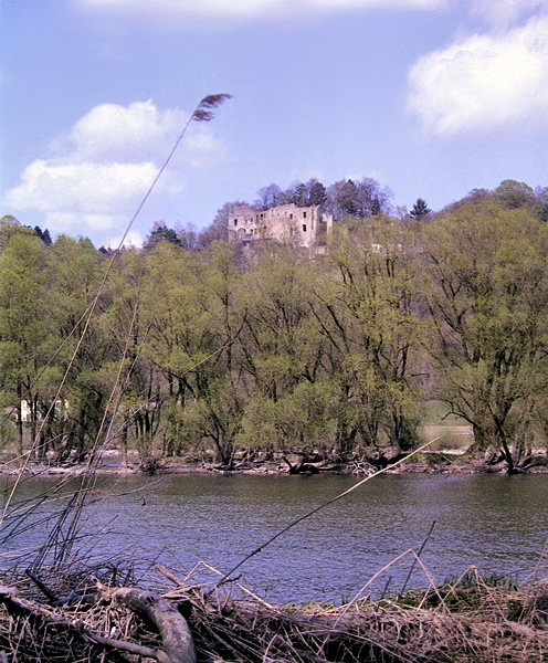 Burgruine über der Donau