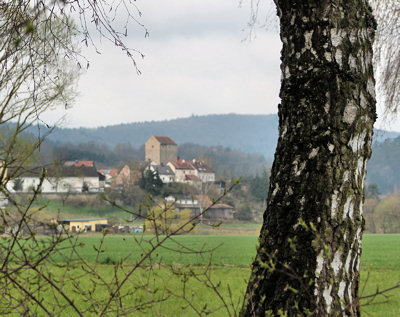 Burg im Regental