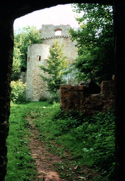 Palas und Mauerturm