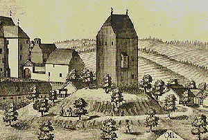 Burgentyp Motte