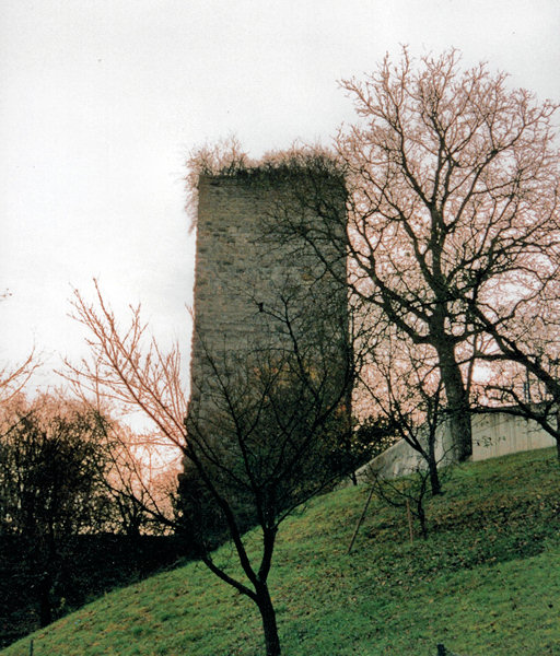 Ruine Niederviehhausen