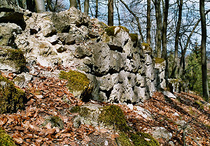 Reste der Ringmauer