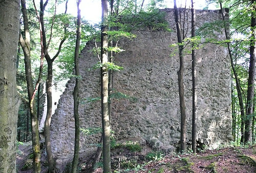 Schildmauer