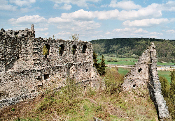 Palas