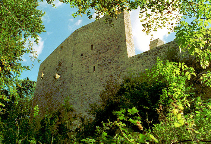 Wohnturm von der Nordseite 
