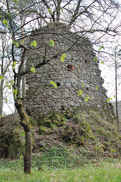 Burgruine Stadel