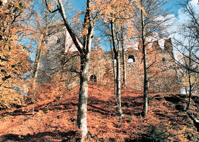 Kernburg, Wohnturm