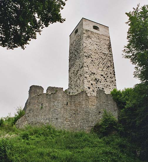 Burgruine von Norden