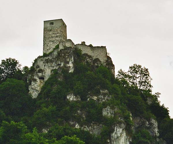 Burgruine vom Tal gesehen