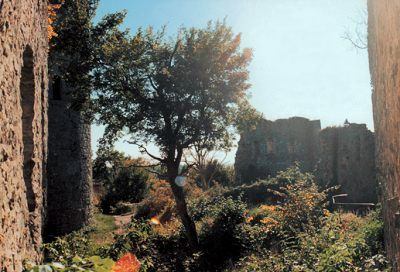 Der Burghof vor den Ausgrabungen